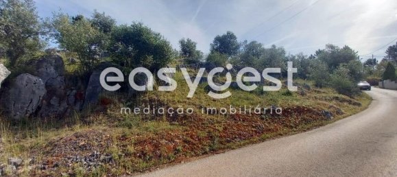 4 bedrooms House in Condeixa a Nova, Portugal No. 174720 9