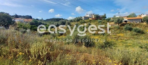 4 bedrooms House in Condeixa a Nova, Portugal No. 174720 11