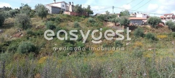 4 bedrooms House in Condeixa a Nova, Portugal No. 174720 13