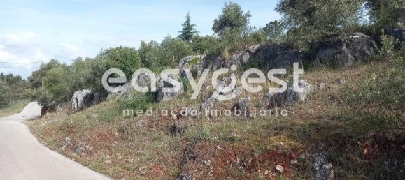 4 bedrooms House in Condeixa a Nova, Portugal No. 174720 10