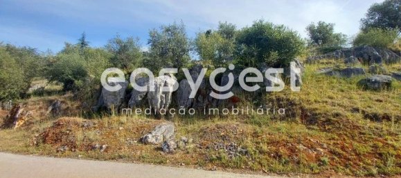 4 bedrooms House in Condeixa a Nova, Portugal No. 174720 12