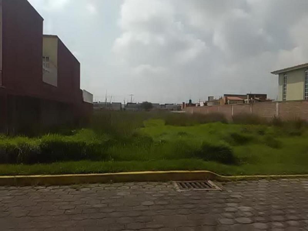  Land in Mexico No. 203681