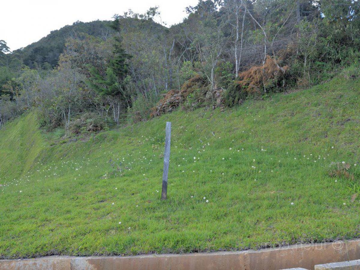Terreno en Antioquia, Colombia No. 671