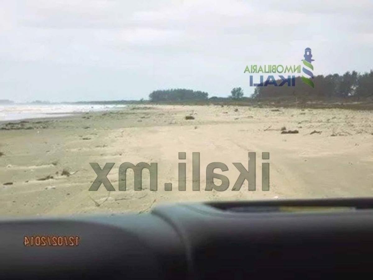 Terrain à Veracruz, Mexico No. 204085