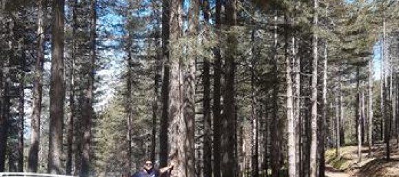 Terreno en Cosenza, Italy 236455 m² No. 300959 2