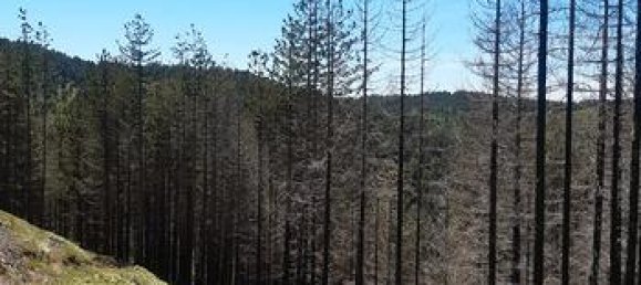 Terreno en Cosenza, Italy 236455 m² No. 300959 3