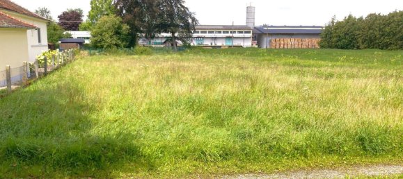 Terrain à Waizenkirchen, Austria 273m² No. 243679 17