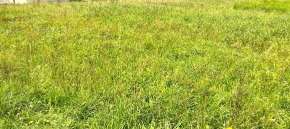 Terrain à Waizenkirchen, Austria 273m² No. 243679 18