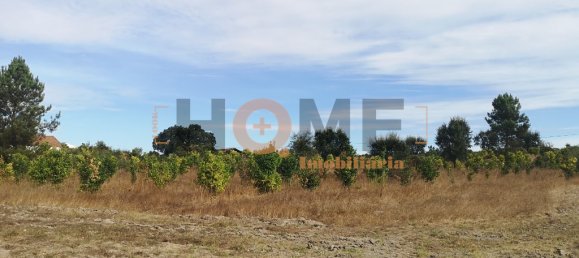 قطعة أرض في Coruche, Portugal رقم 63096 3