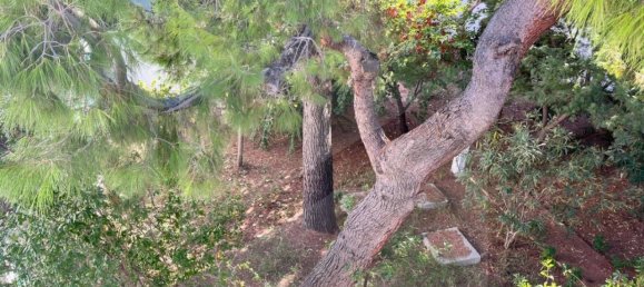 7 rooms House in Casamassima, Italy No. 29373 8