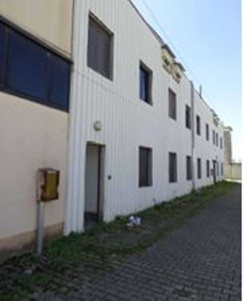 3 chambres Appartement à Maleo, Italy No. 373824