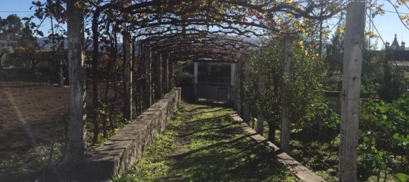 3 Schlafzimmer Haus in Viana do Castelo, Portugal, Nr. 53709 13