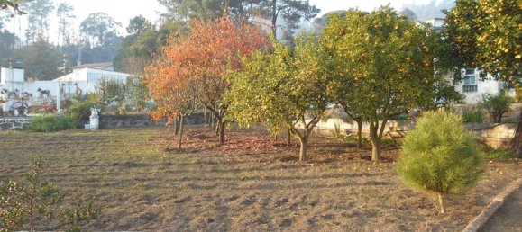 3 Schlafzimmer Haus in Viana do Castelo, Portugal, Nr. 53709 15