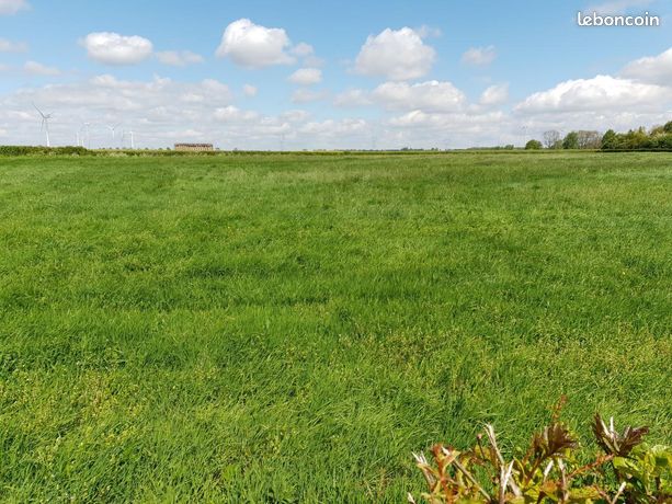 2098m² Land in Sains-les-Pernes, France No. 313841