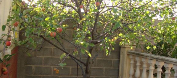 Дом с 4 спальнями в Самора, Испания № 151383 24