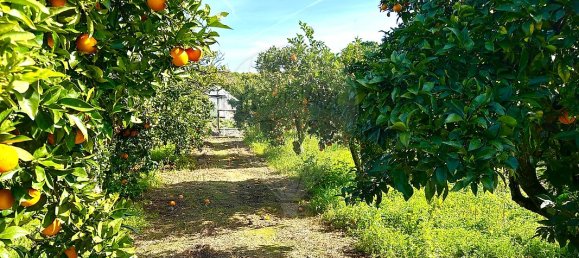 Casa de 4 dormitorios en Montijo, Portugal No. 18306 18