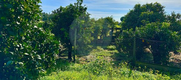 Casa de 4 dormitorios en Montijo, Portugal No. 18306 19