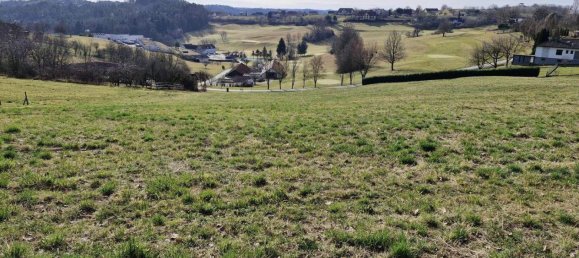  Land in Burgauberg-Neudauberg, Austria No. 164653 4