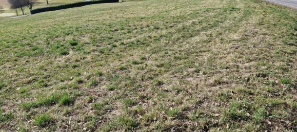  Land in Burgauberg-Neudauberg, Austria No. 164653 2