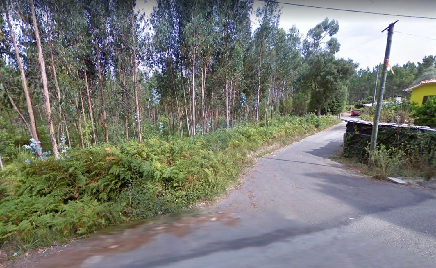 1820m² Land in Albergaria a Velha, Portugal No. 72197