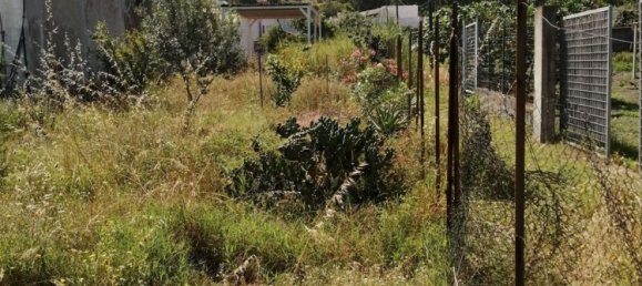 Gewerbliche Immobilie in Lipari, Italy 17m², Nr. 67398 13