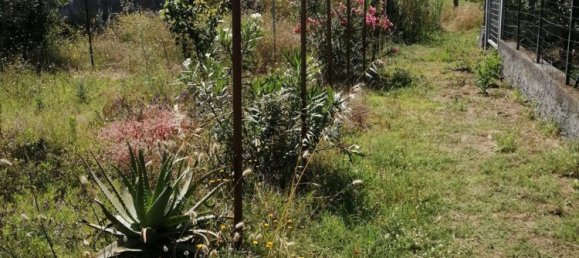 Gewerbliche Immobilie in Lipari, Italy 17m², Nr. 67398 12