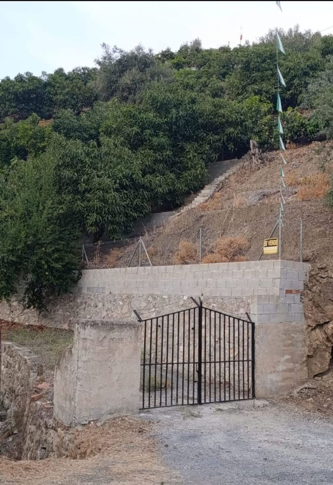  قطعة أرض في Canillas de Aceituno, Spain رقم 216789