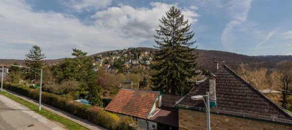 6غرفة فيلا في Penzing, Austria رقم 241672 35