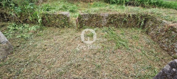 3 Schlafzimmer Haus in Santo Tirso, Portugal, Nr. 42055 7