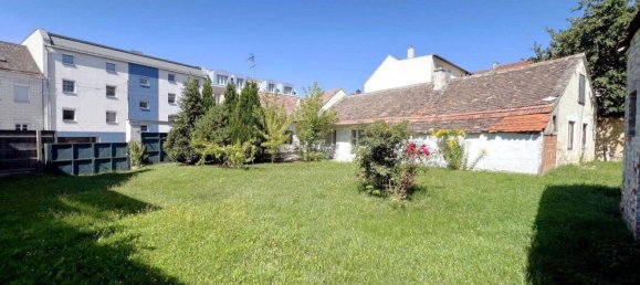  Land in Hollabrunn, Austria No. 223615 3