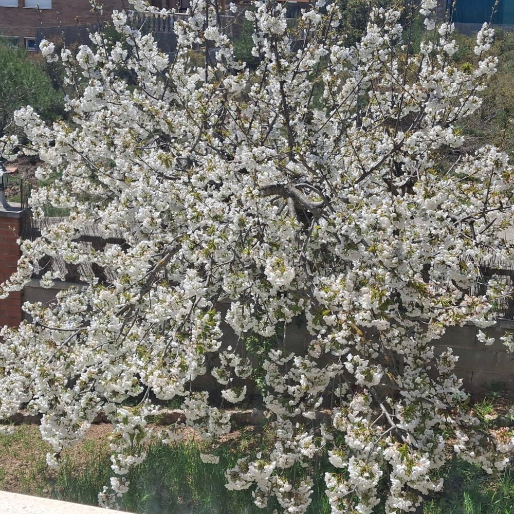 3 Schlafzimmer Haus in Tarragona, Spain, Nr. 276401