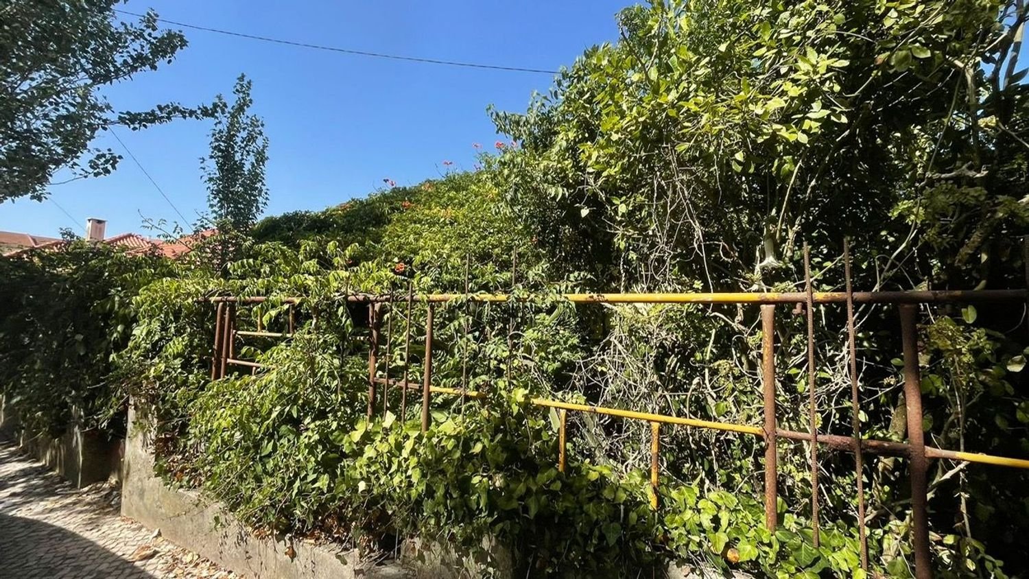 3 Schlafzimmer Haus in Sintra, Portugal, Nr. 293682