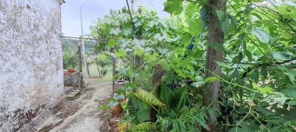 3 غرف نوم منزل في Tomar, Portugal رقم 30138 4