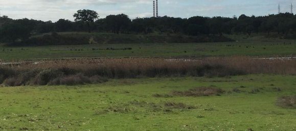 160000m² Land in Setubal, Portugal No. 119303 16