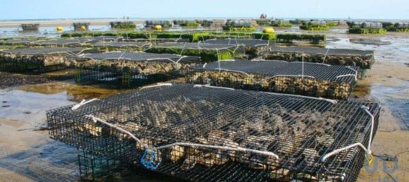 160000m² Land in Setubal, Portugal No. 119303 9