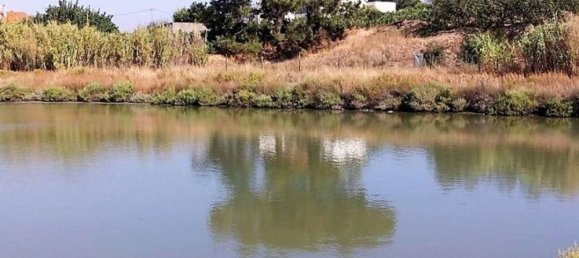 160000m² Land in Setubal, Portugal No. 119303 6