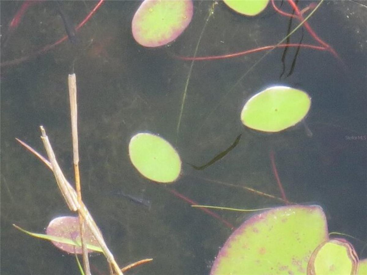  Land in Silver Springs, USA No. 549385