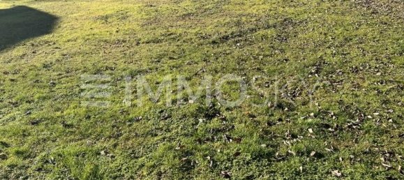 Земельный участок в Нидернойкирхен, Австрия № 126654 3