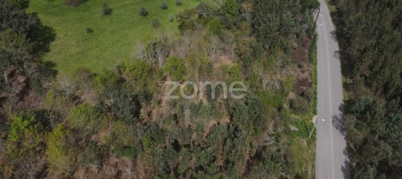 Terrain à Vila Nova de Poiares, Portugal 18145m² No. 61406 9