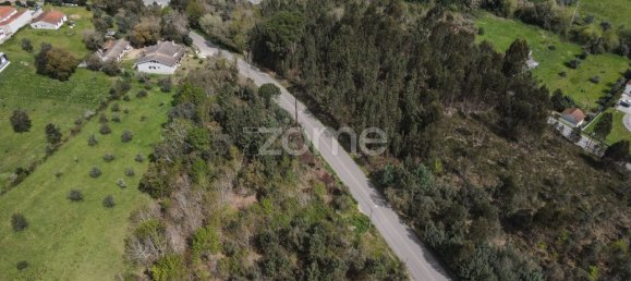 Terrain à Vila Nova de Poiares, Portugal 18145m² No. 61406 7