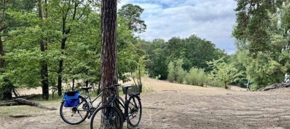 Земельный участок в Мюггельхайм, Германия № 225780 2