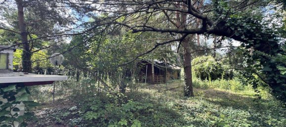 Земельный участок в Мюггельхайм, Германия № 225780 10