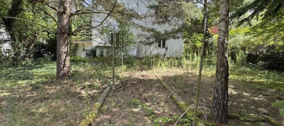 Земельный участок в Мюггельхайм, Германия № 225780 11