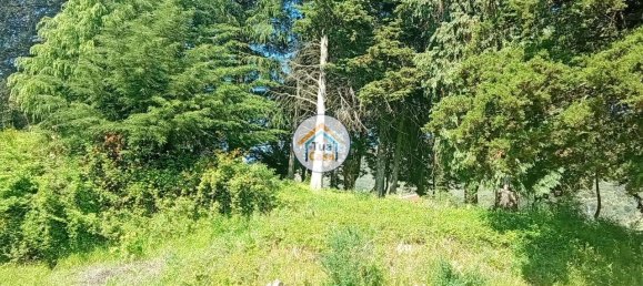 5 غرف نوم منزل في Lamego, Portugal رقم 58262 35