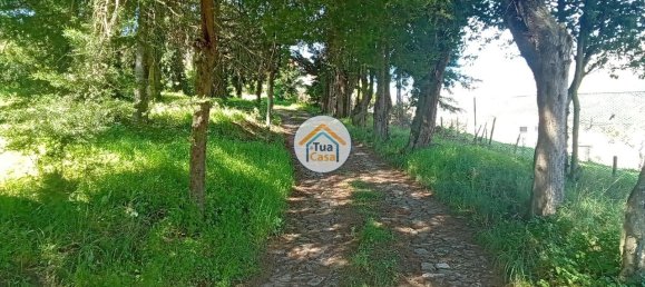 5 غرف نوم منزل في Lamego, Portugal رقم 58262 41