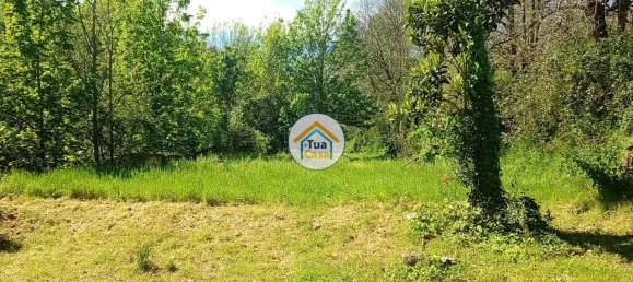 5 غرف نوم منزل في Lamego, Portugal رقم 58262 50