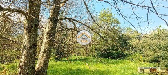 5 غرف نوم منزل في Lamego, Portugal رقم 58262 47