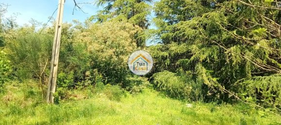 5 غرف نوم منزل في Lamego, Portugal رقم 58262 49