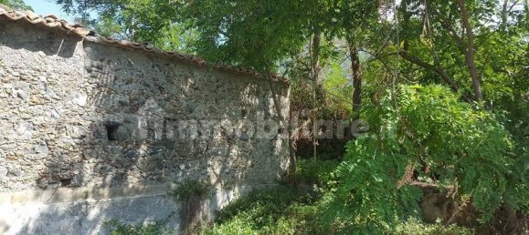 10000m² Land in Belvedere Marittimo, Italy No. 157320 4