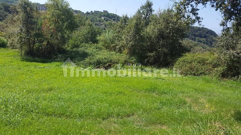 10000m² Land in Belvedere Marittimo, Italy No. 157320